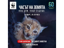 За поредна година Община Дряново ще се включи в инициативата на WWF - „Часът на Земята“