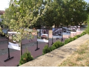 215 години от рождението на Колю Фичето