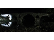 Отбелязахме 215-та годишнина от рождението на майстор Колю Фичето