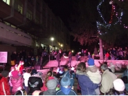 Коледна елха 3