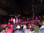 Коледна елха 4