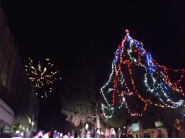 Коледна елха 6