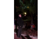 Коледна елха 8