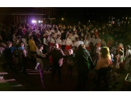 Коледна елха 9