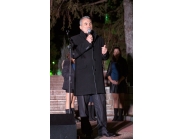 Коледна елха 10