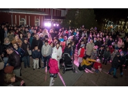 Коледна елха 13