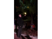 Коледна елха 14