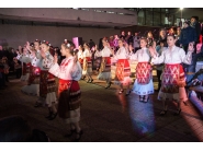 Коледна елха 17