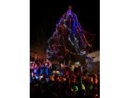 Коледна елха 18