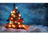 Коледни и новогодишни празници