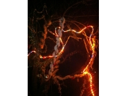 Коледна украса 1