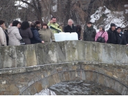 Богоявление 6