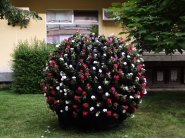 Откриване 1