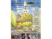 Кънтри фестивал в с. Гостилица