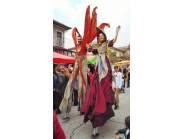 Празничната седмица на Дряново