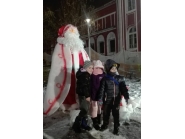 Грейна коледната елха в Дряново