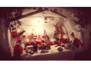 Грейна коледната елха в Дряново