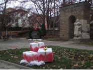 Празничната коледна украса на Дряново