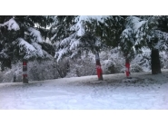 Празничната коледна украса на Дряново