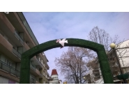 Баба Марта 2