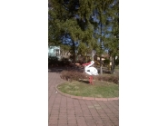 Баба Марта 3