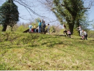 Интеграция 8