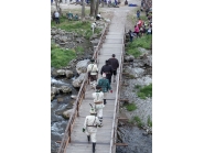 С възрожденска музика и възстановка на боевете отбелязахме годишнината от Априлската епопея