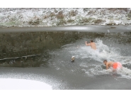 Днес е Богоявление