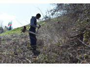 Програма за заетост