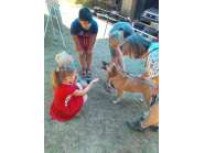 Деца от летните занимални преминаха обучение в приюта за кучета в село Глушка