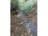 Извършена проверка по подаден сигнал от Кмета на Община Дряново за замърсяване на водите на река Андъка  в района на Дряновски манастир