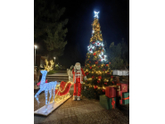 Грейнаха светлините на Коледното дърво в Дряново!