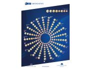 Информационна среща с граждани във връзка с въвеждане на еврото и превенция на измамите! 1