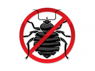 Дезакаризация на тревните площи на територията на град Дряново.